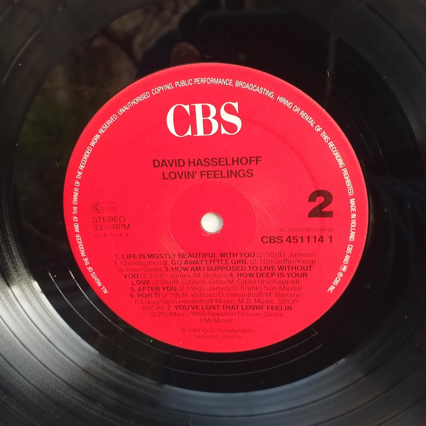 David Hasselhoff – Lovin Feelings Disc VINIL LP VG+ - imagine 3