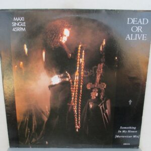 Dead Or Alive – Something In My House (Mortevicar Mix) - 12", 45 RPM, Maxi-Single